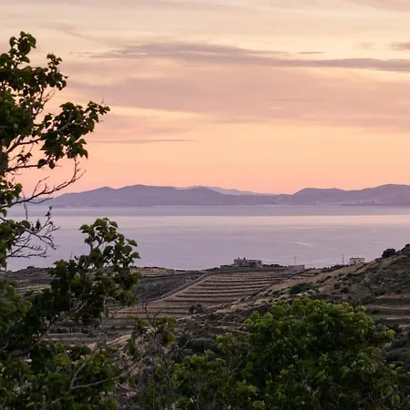 Tinos Dove * Triandáros
